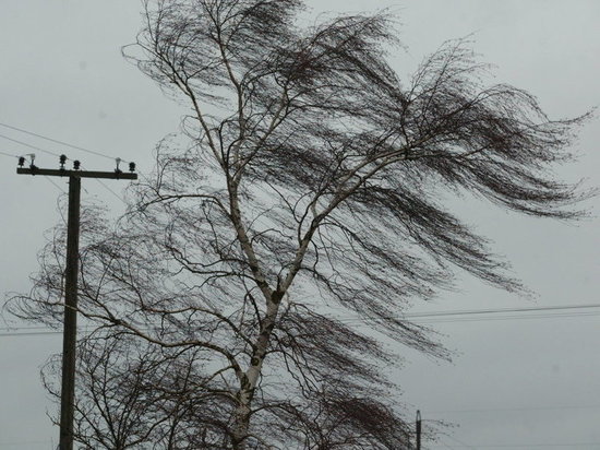 Усиление ветра ожидают в Чите в ближайшие сутки