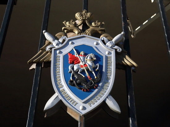 Медсестра туберкулезной больницы Новосибирска оттаскала ребенка за волосы: видео