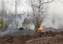 В Забайкалье уменьшается площадь труднодоступных мест, где разрешается не тушить пожары