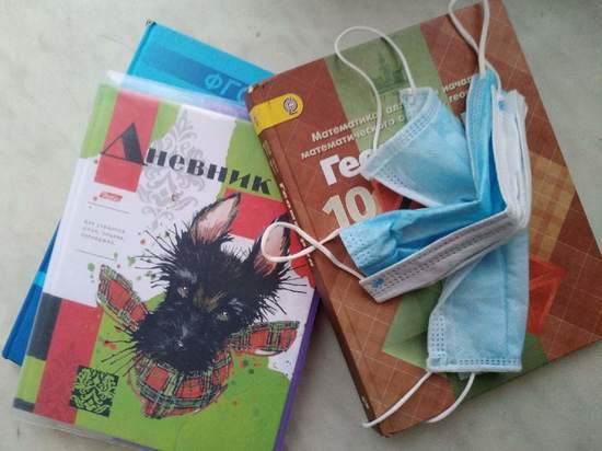 Медики высказались против масочного режима в школах ДНР