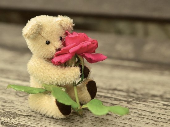 Романтичный великолучанин украл из цветочного магазина мягкую игрушку