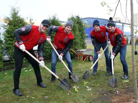 В Ярославле хоккеисты посадили кленовую аллею