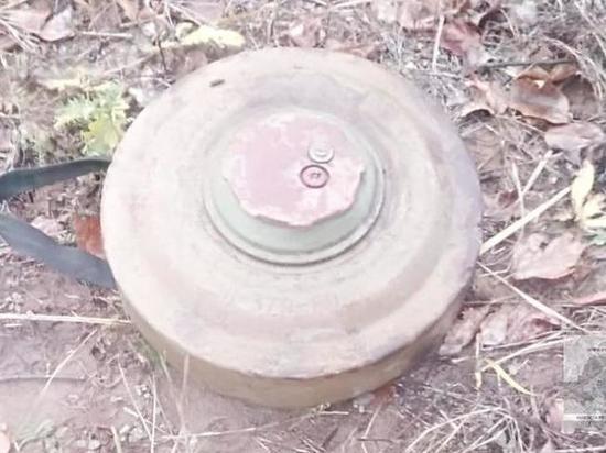 В Михайловском районе на трассе нашли мину