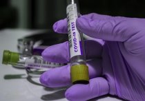 Количество заболевших коронавирусом за сутки в ДНР снизилось ровно вдвое