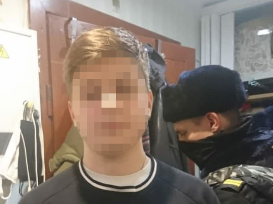 Школьник из Петербурга напал с ножом на племяшку и расстрелял родителей