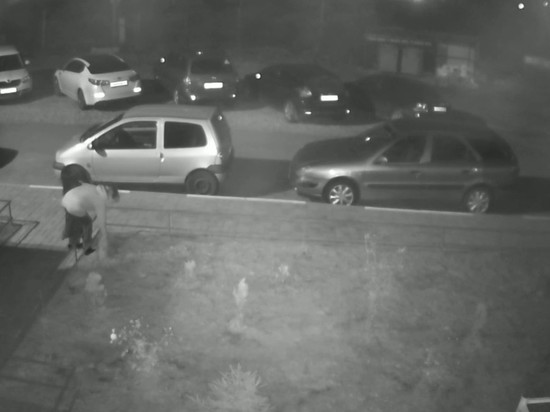 В Смоленске воровка растений попала в поле зрения видеокамеры