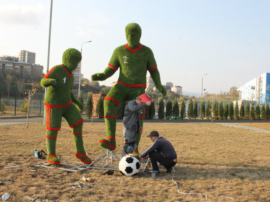 На Ставрополье создали топиарные образы футболистов