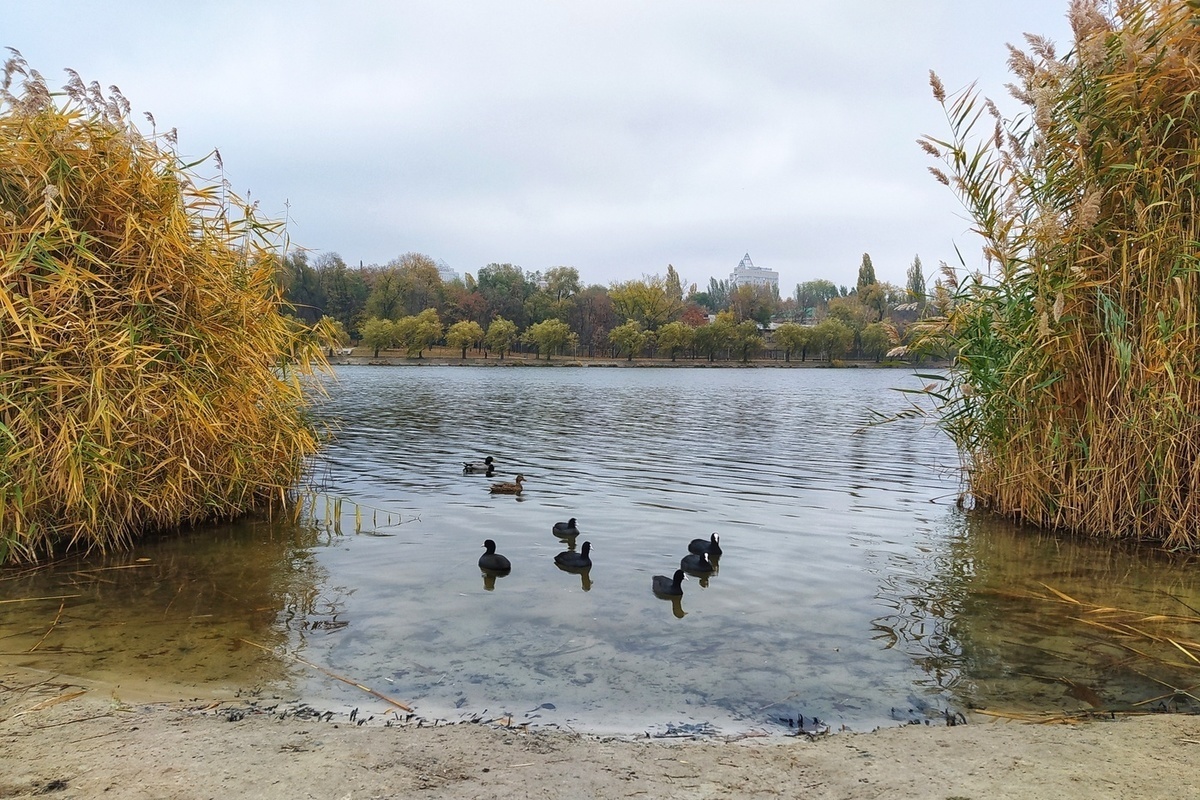 Погода в луганске