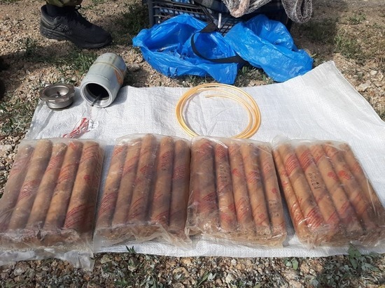 Два жителя Алтайского края хотели продать 8 кг взрывчатки