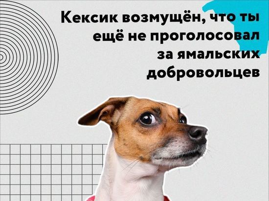 Жителей Ямала призывают голосовать за участниц конкурса «Доброволец России»