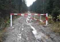 Для предотвращения стихийных свалок в лесничестве «Русский лес» перегородили въезд на лесные территории