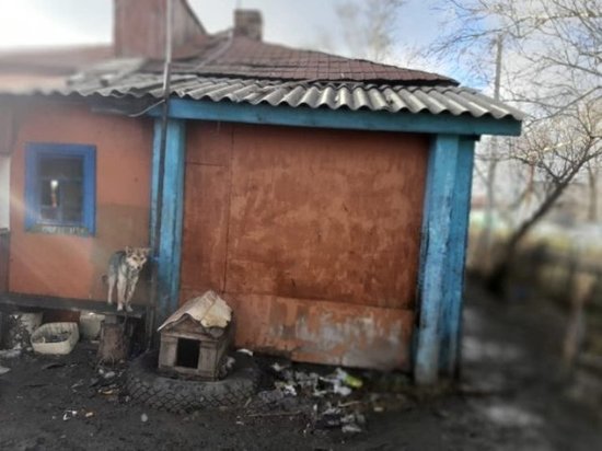 Новосибирский губернатор поручил проверить опеку Каргата, где сгорели трое детей