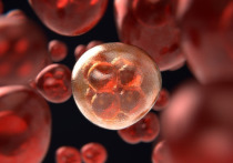 Американские исследователи Медицинской школы Перельмана при Университете Пенсильвании установили главную причину развития онкологии, пишет Cell Metabolism
