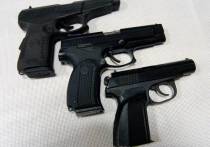 Пистолетами и револьверами может пополниться арсенал охотников - с таким предложением выступили эксперты Российской общественной инициативы