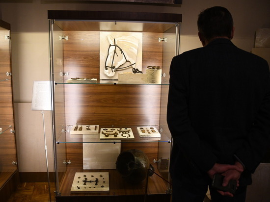 В обновленном волгоградском музее открыли зал археологии