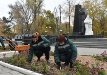 Администрация Астрахани продолжает работу по высадке многолетних растений в парках и скверах города