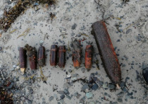 В Печенгском районе Мурманской области были обнаружены боеприпасы времен Великой Отечественной войны
