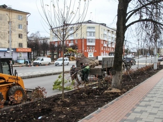 В Смоленске улицу Николаева прикрыли кленовыми листочками