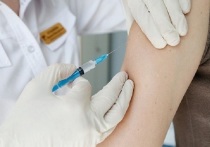 На 11 ноября от сезонного гриппа в городском округе Серпухов провакцинировано уже 46 804 жителя. 