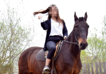 С помощью хлыста и вил отобрали лошадь у хозяев прежние владельцы животного