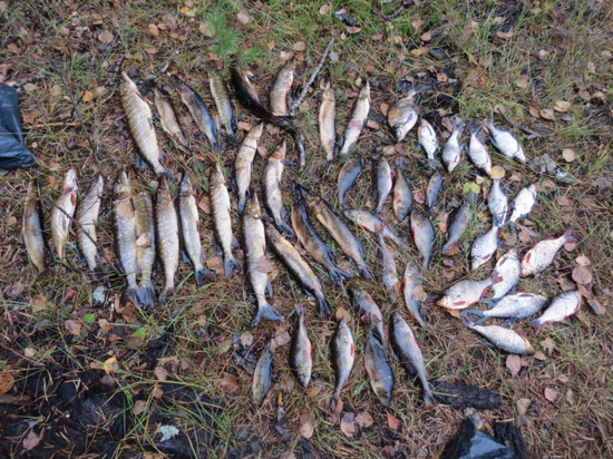 Браконьера поймали с уловом прямо на озере в Тверской области