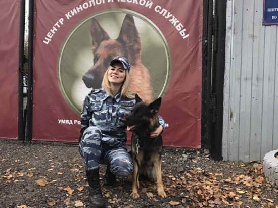 Служебная собака Юрмала помогла полицейским раскрыть дачную кражу в деревне Кузнецы