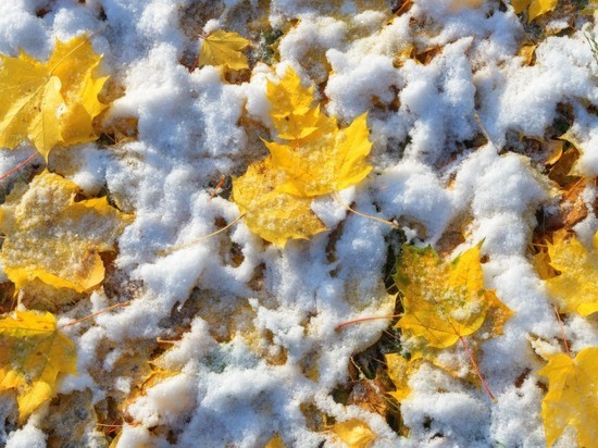 Ну все, зима: в Новосибирске в четверг снег и ниже нуля