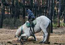 Единственный инклюзивный конный театр на Дальнем Востоке появился в Забайкальском крае благодаря грунтовому конкурсу «Вершины» Байкальской горной компании, проведенному в 2019 году
