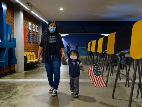 Власти Джорджии не обнаружили массовых фальсификаций на выборах президента