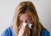 Коронавирус и грипп имеют похожие симптомы, среди них кашель, насморк, боль в горле, лихорадка, а также изможденность