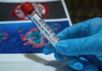 За последние сутки в Забайкалье зафиксировали рекордное число заразившихся коронавирусом и победивших болезнь