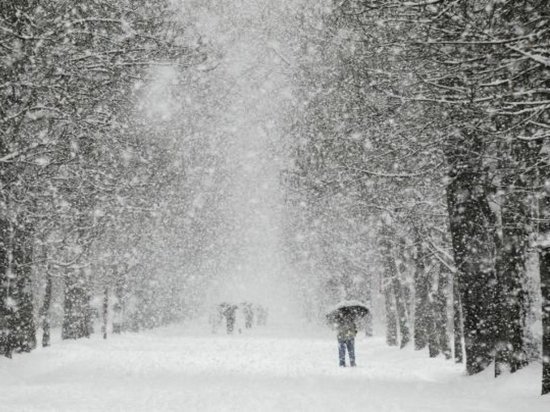 В Омске ожидаются сплошные снегопады и похолодание