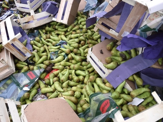 Тюменские таможенники обнаружили 4 тонны груш, запрещенных к ввозу в Россию