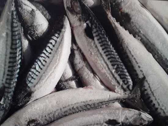 В Дагестане  украли тонну замороженной рыбы