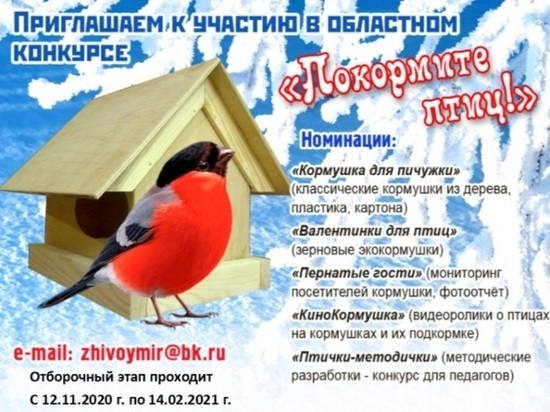 Ивановцев приглашают к участию в конкурсе "Синичкин день"