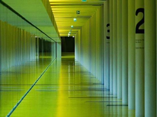 Хитрый грузоперевозчик пытался купить себе «зелёный коридор»