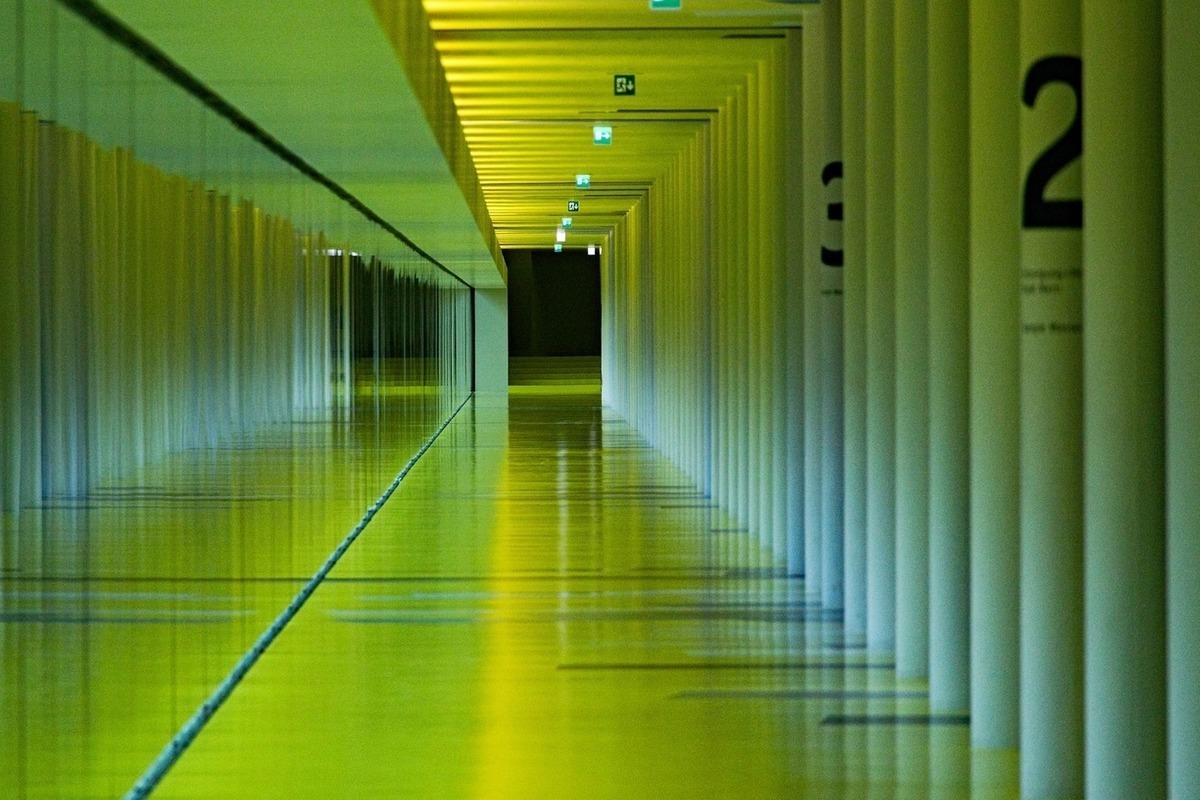 Зеленые коридоры в аэропорту