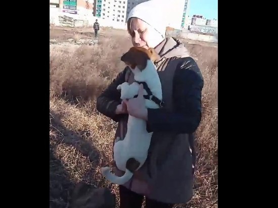 Спасатели вытащили собаку из 8-метрового колодца в Чите