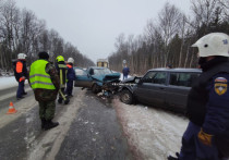 В четверг, 12 ноября 2020 года, в Кольском районе Мурманской области произошло лобовое столкновение двух автомобилей
