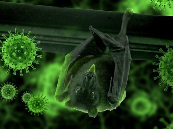 Коронавирус в Карелии вновь побил свой антирекорд