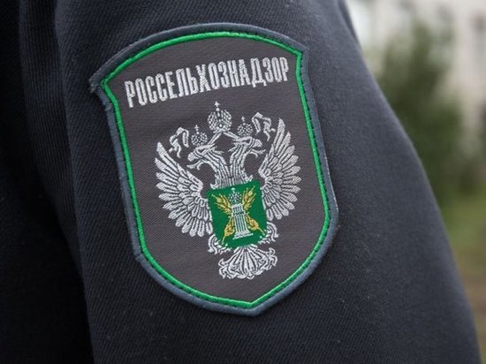 В Ярославской области зафиксированы 50 случаев бешенства