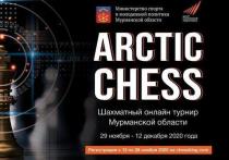 В Мурманской области с 29 ноября по 12 декабря 2020 года состоится онлайн-турнир по шахматам «Arctic chess»