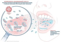 Согласно предварительным результатам независимой международной лаборатории Microbac Laboratories, ополаскиватели для рта, содержащие цетилпиридиния хлорид в концентрации 0,07%, подавляют вирусную активность штамма SARS-CoV-2 уже через 30 секунд