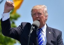 Апелляционный суд США не удовлетворил требование сторонников Дональда Трампа не учитывать часть голосов на выборах президента США