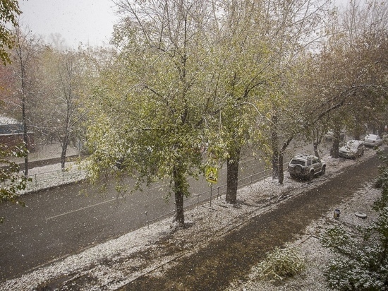 Треть месячной нормы снега выпала за день в Новосибирской области