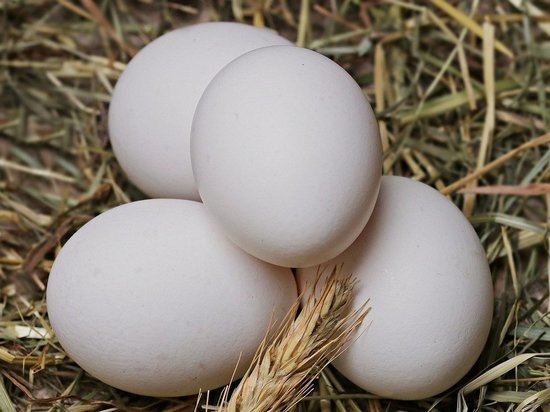 В ДНР запретили продажу яиц из Таганрога