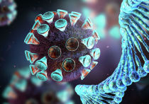 Европейские эксперты в области здравоохранения предупреждает, что быстрые мутации коронавируса у норок могут привести к более смертельной версии болезни и даже сделать вакцины бесполезными в случае заражения людей