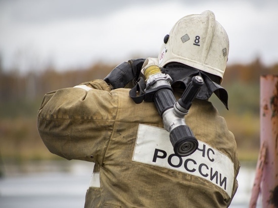 Соседи спасли трех детей из горящего дома в Новосибирске
