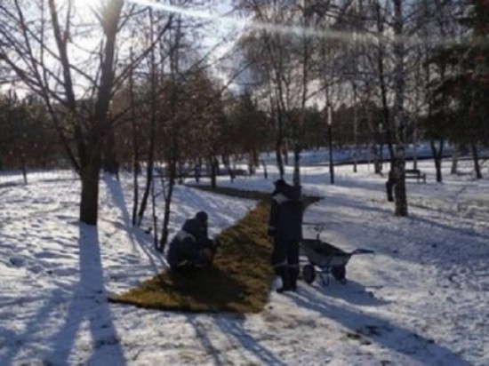 В Уфе коммунальщики уложили рулонный газон на снег