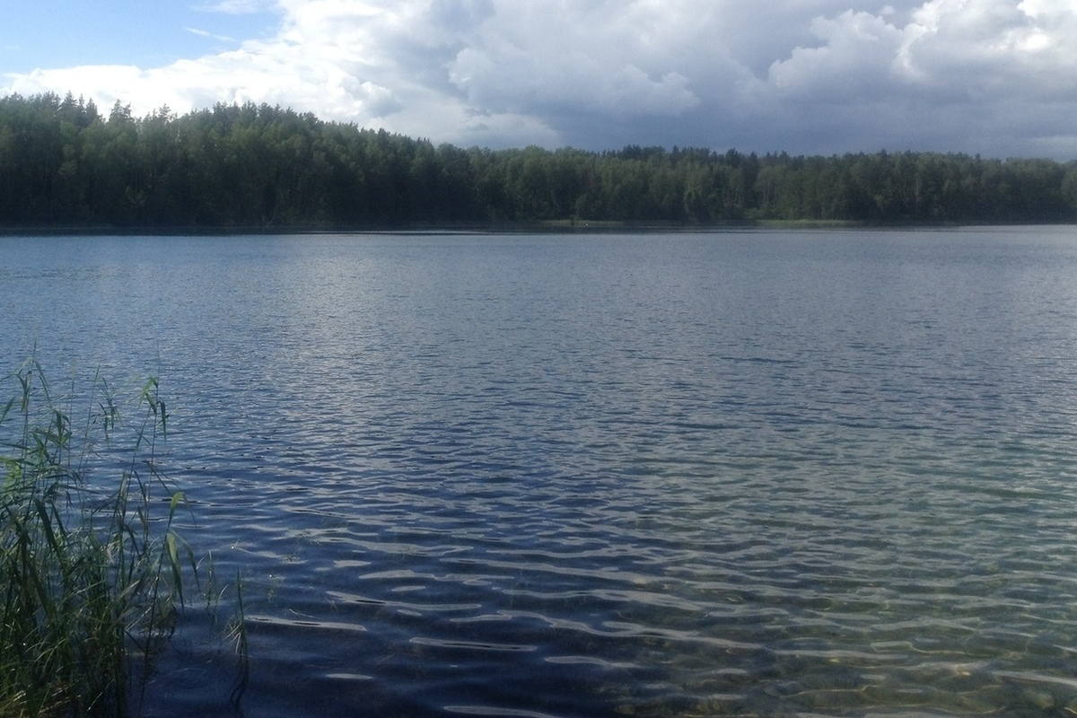 Водные объекты смоленского края. Озеро заборное Удмуртия. Водные объекты Смоленская область. Водоемы Смоленской области. Водоемы Смоленщины.